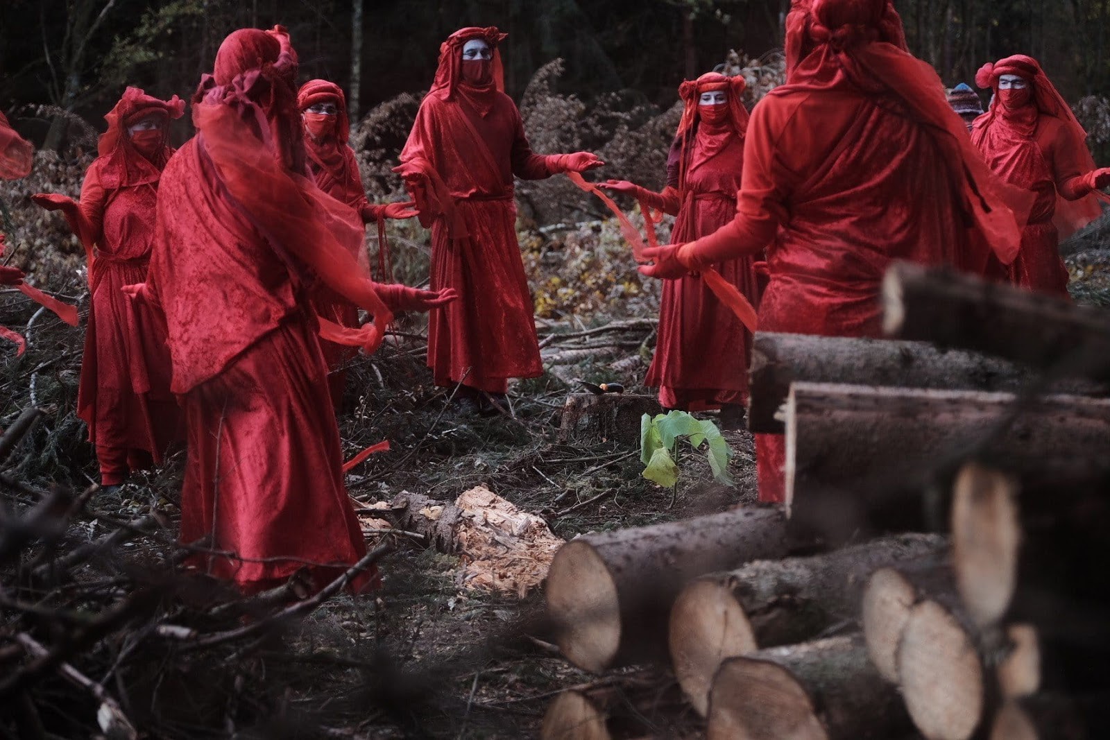 The Red Brigade mourn a forest being cleared for a motorway in Germany.
